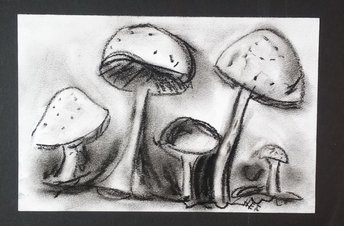 Mushrooms Charcoal Drawing, Hand-Drawn Fungus, Original Still Life Wall Art