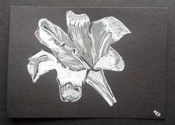 Flower Sketch Art, Silver Lily Minimalist Drawing, Original Marker Drawing, One-of-a-kind Traditional Hand-Drawn Botanical Wall Art