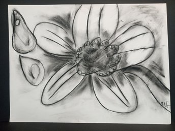 Original Drawing Sketch Big Flower Raindrops, Charcoal Floral Wall Art, One-of-a-kind Traditional Hand-Drawn Botanical Black White Artwork